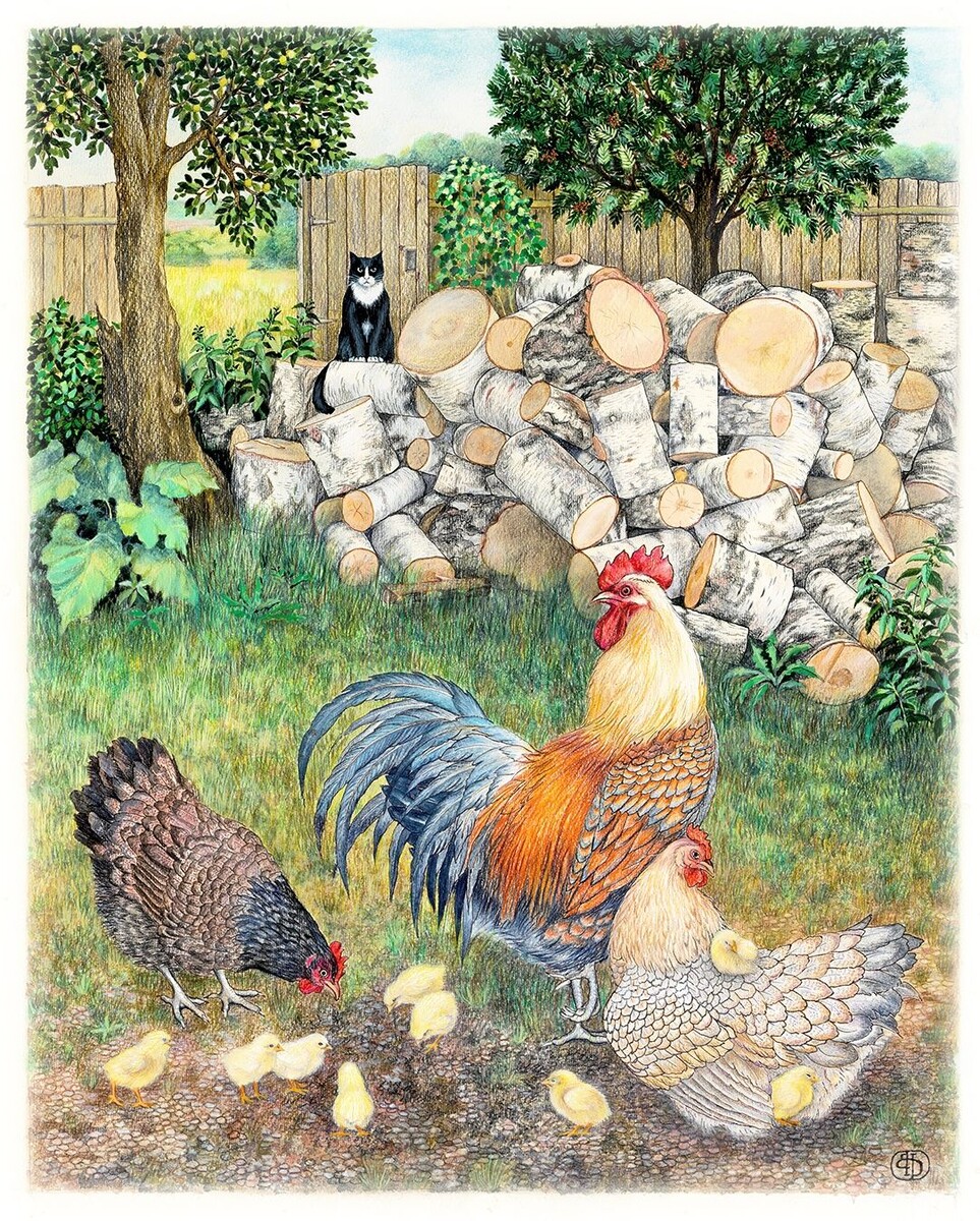 � ���� ���������. ����� ��������. ������, ����������� ���������. 40�50 ��. 2017 �.