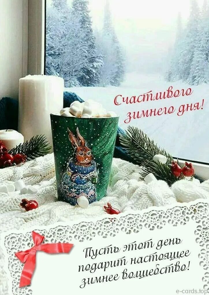 Из интернета для хорошего настроения 🫶🏻