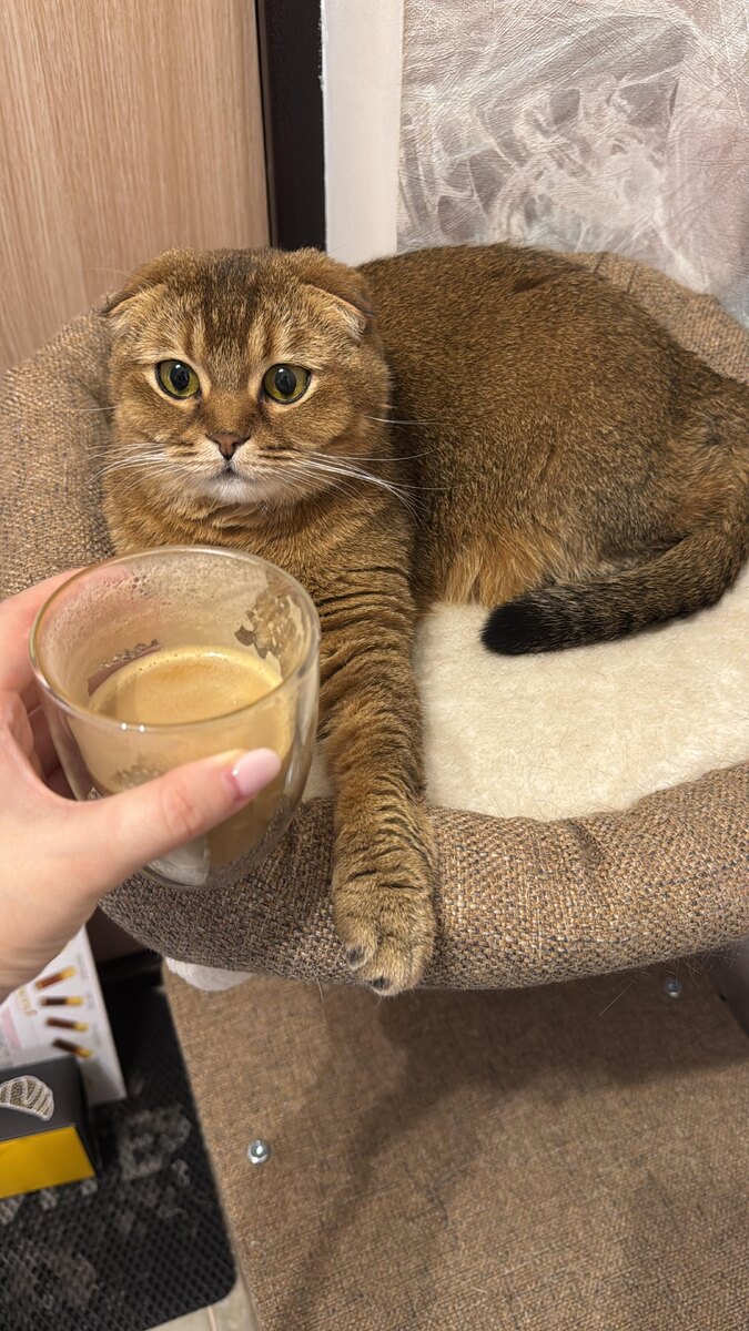 Кофе для Мэй Ли (фото из личного архива)