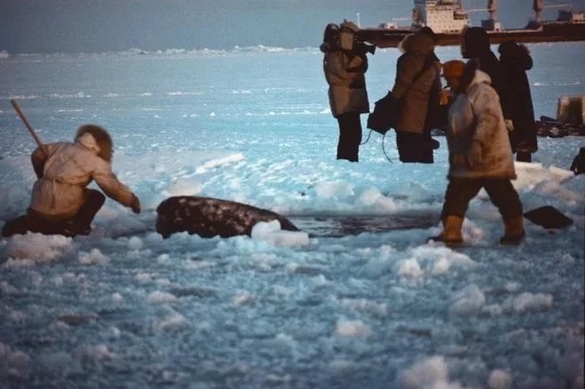 Реальные кадры той спасательной операции "Прорыв". Фото из открытых источников в интернете.