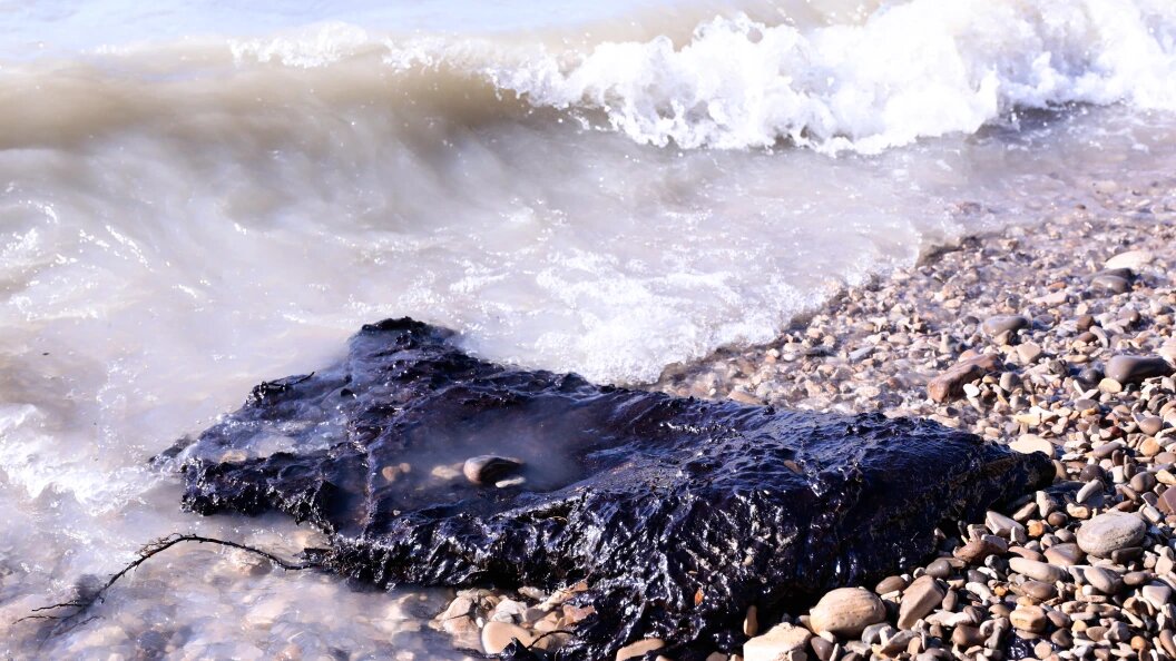    Фото: Roman Naumov/Globallookpress