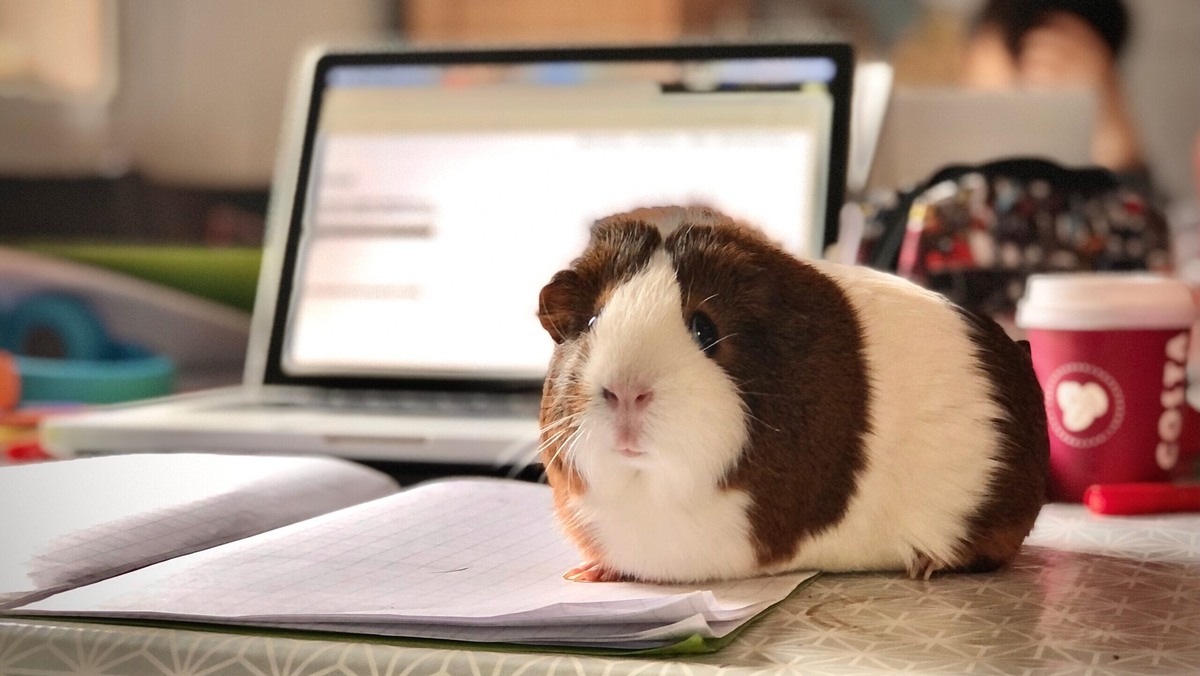    День защиты персональных данных напоминает, как важно следить за информационной безопасностью. Фото: unsplash