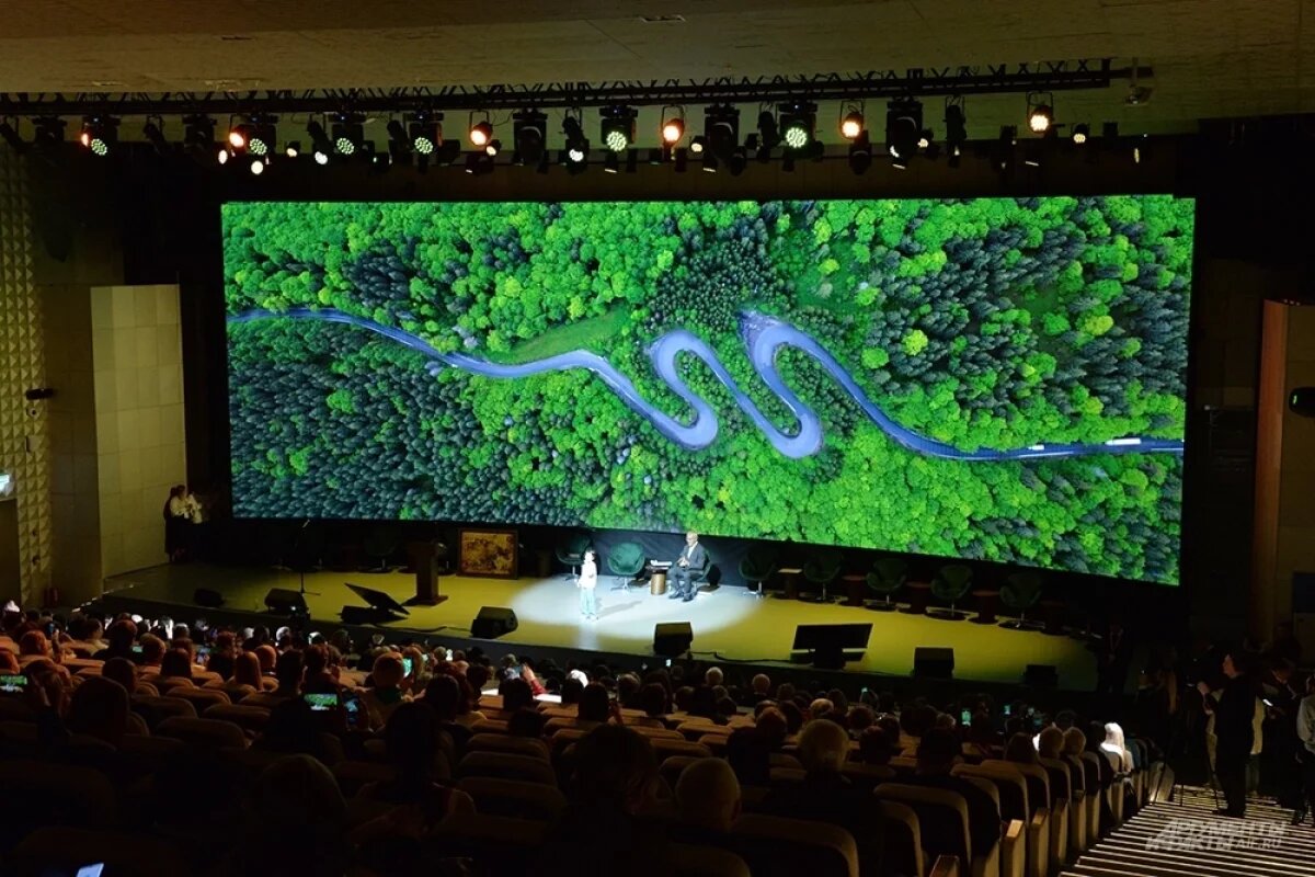    Чистота — и только.