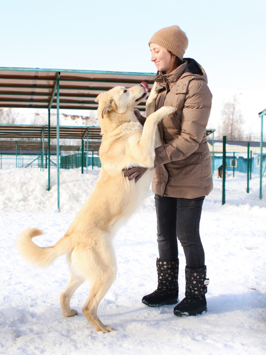 Наверное из-за этого пора уже расстраиваться?