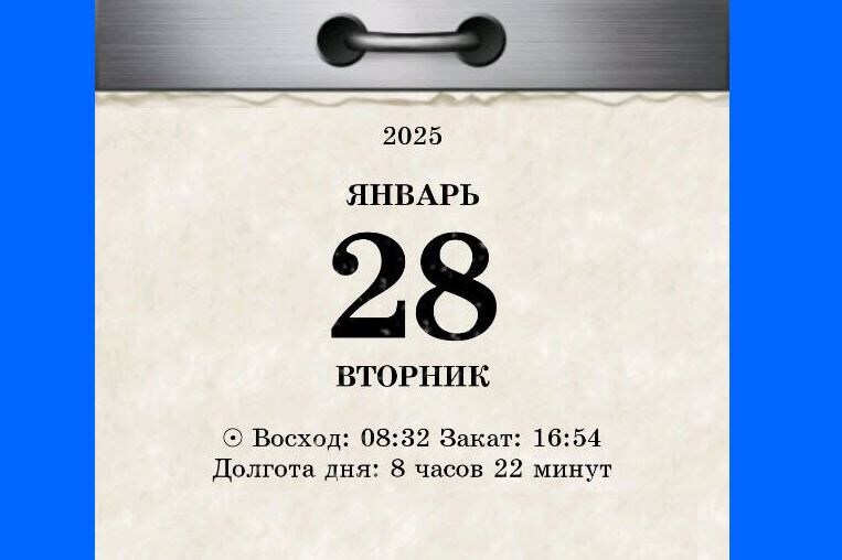 28 января 2025 года / 2024-2025 © АрхиФактум