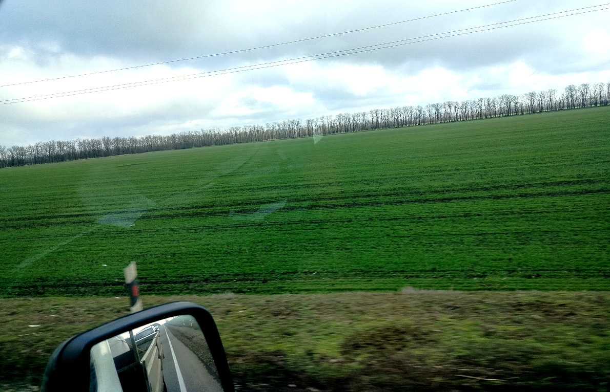 Краснодарский край, ст. Каневская.