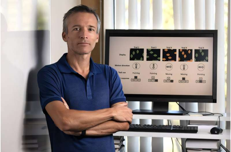 «Существует разрыв между тем, что знают LLM, и тем, что, по мнению людей, они знают», — говорит Марк Стейверс. Фото: Стив Зилиус/UCI