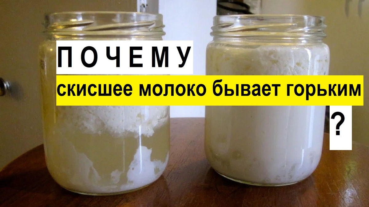 Почему скисшее молоко бывает горьким
