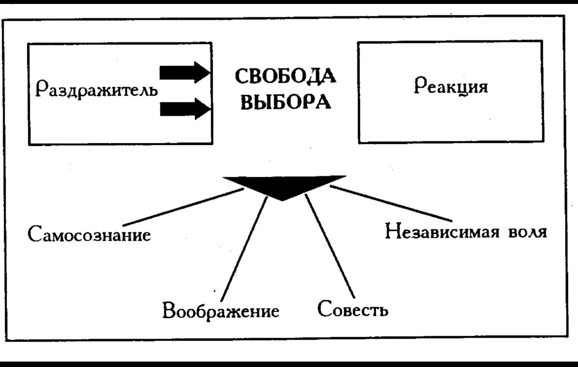 Стивен Кови, «Семь навыков высокоэффективных людей»
