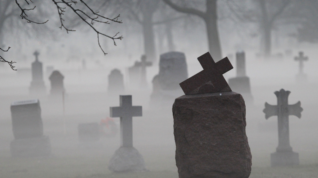 Изображение взято из открытых источников интернета.