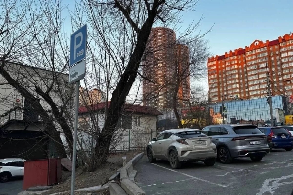    Сегодня парковка на обозначенных синей пунктирной линией будет без мониторинга паркрайтов