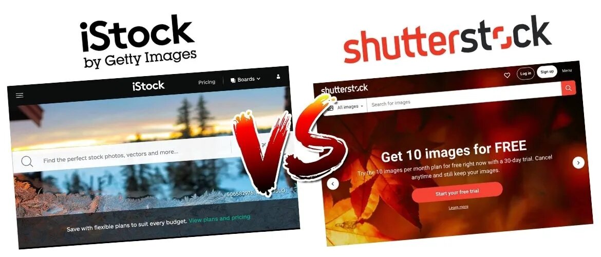 фото из статьи о Shutterstock и GettyImages https://jaejohns.com/istock-vs-shutterstock/