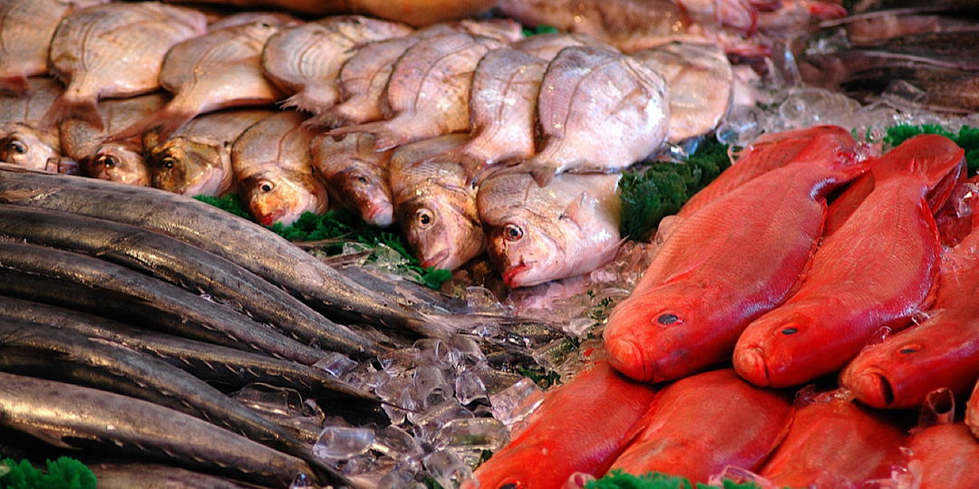 Названы 10 самых полезных видов рыб