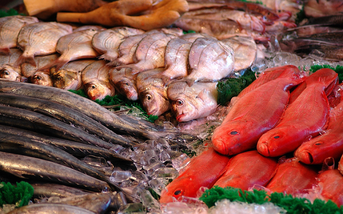 Рыбные ряды: обзор оптовых цен с 18 по 25 февраля ... fish.gov.ru