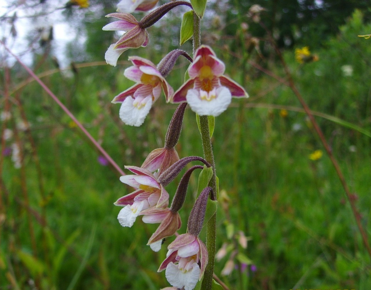 Лучшей фотомодели не придумать!