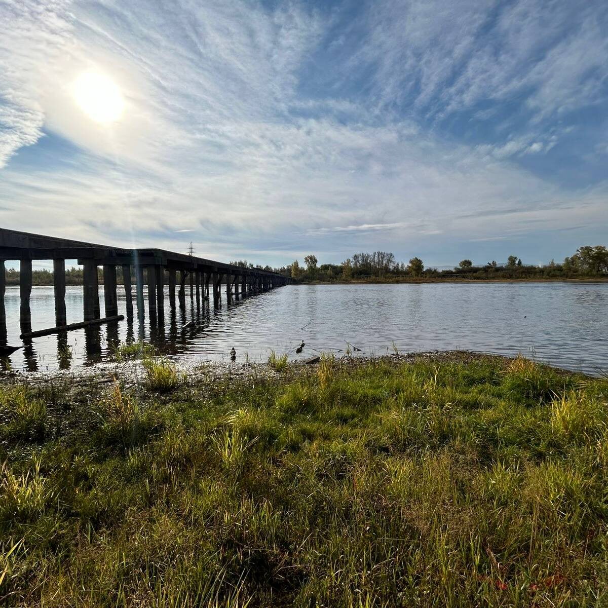     Новый мост на остров Татышев в Красноярске спроектирует новосибирская компания