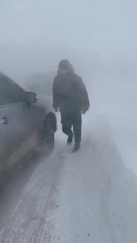    Снежный циклон на Сахалине Фото: «АиФ-Сахалин»/ АиФ