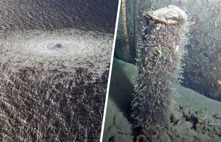    «Северных потоков» быть не должно: президент Польши собрался лишить Европу газа из России