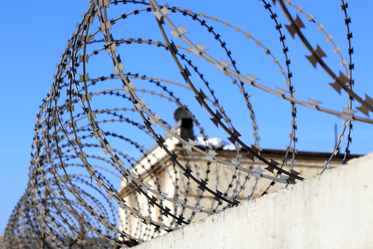    Фото Андрея Заржецкого