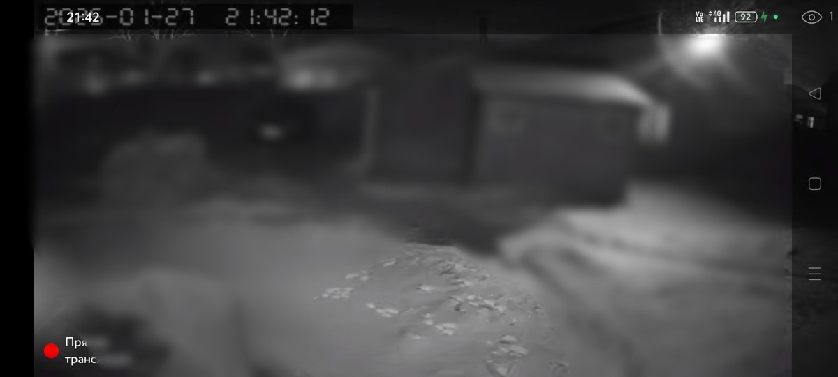 Фото автора канала "Волнушка"