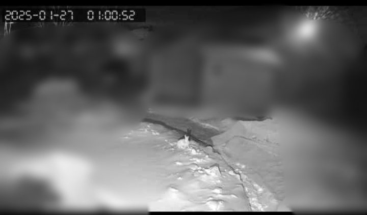 Фото автора канала "Волнушка"