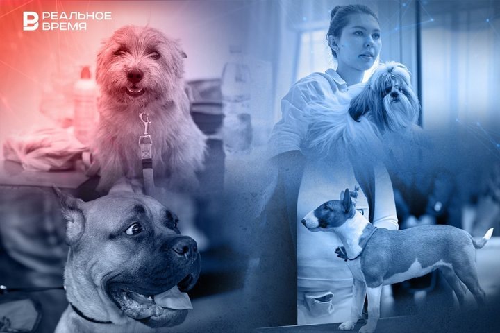 Фото: коллаж "Реального времени"