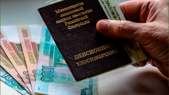    В Госдуме объяснили, как забрать всю сумму пенсионных накоплений в 2025 году Татьяна Сидорова