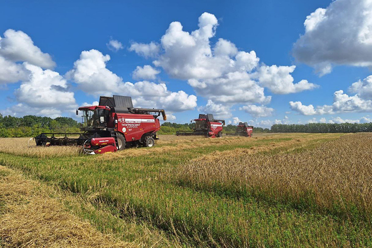    «Когда мы брали хозяйство, было в общей сложности около 2 тысяч гектаров. За три года мы расширились до 7 тысяч. Мы и покупали землю, и в долгосрочную аренду оформляли»