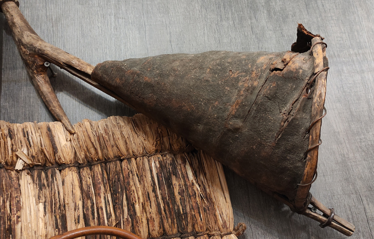 Роевня семьи Саговых