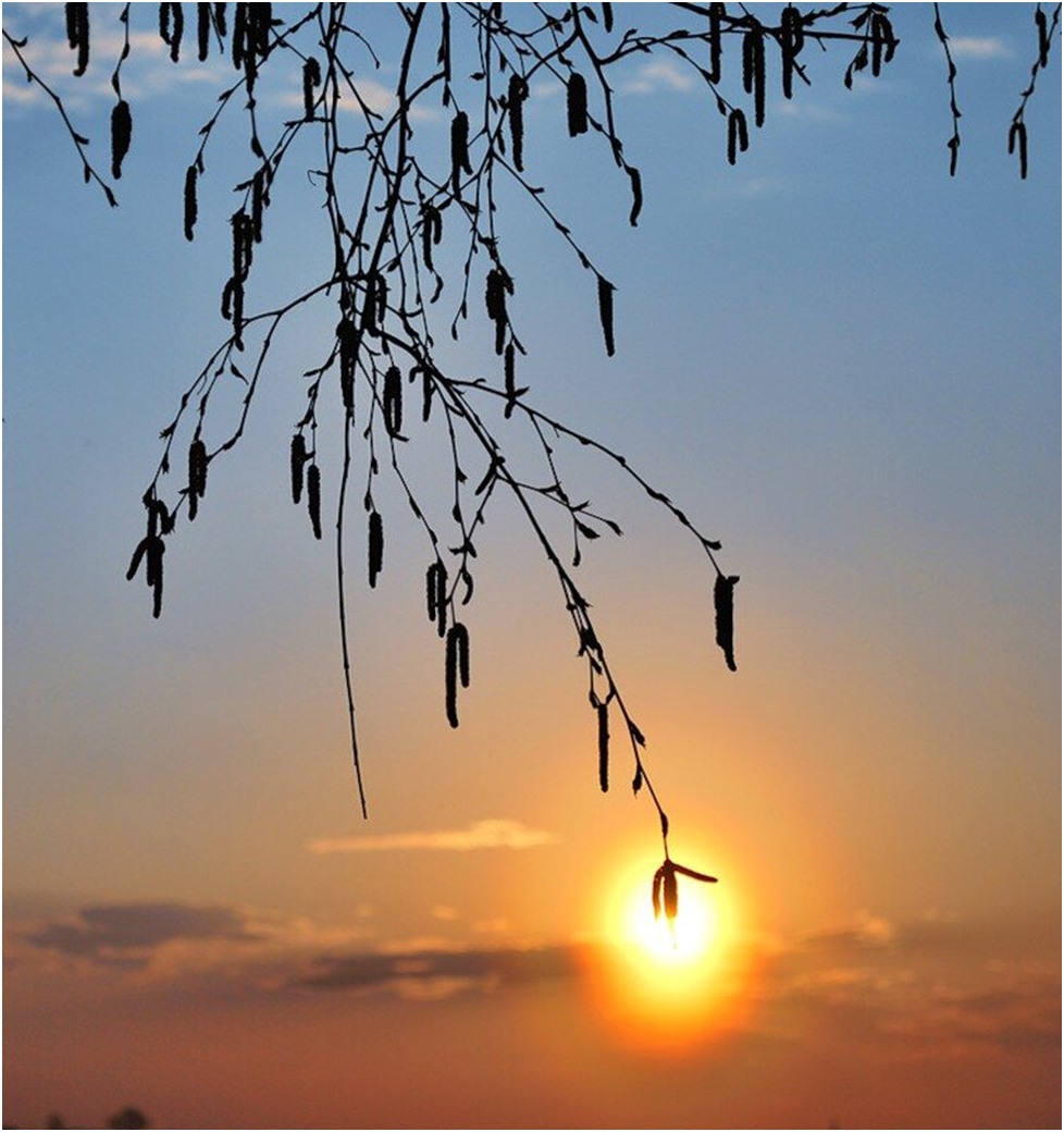 #солнце#медитация#самопознание#жизнь#гармония#счастье#любовь#свет