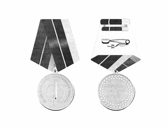 Изображение нагрудного знака из постановления мэрии.