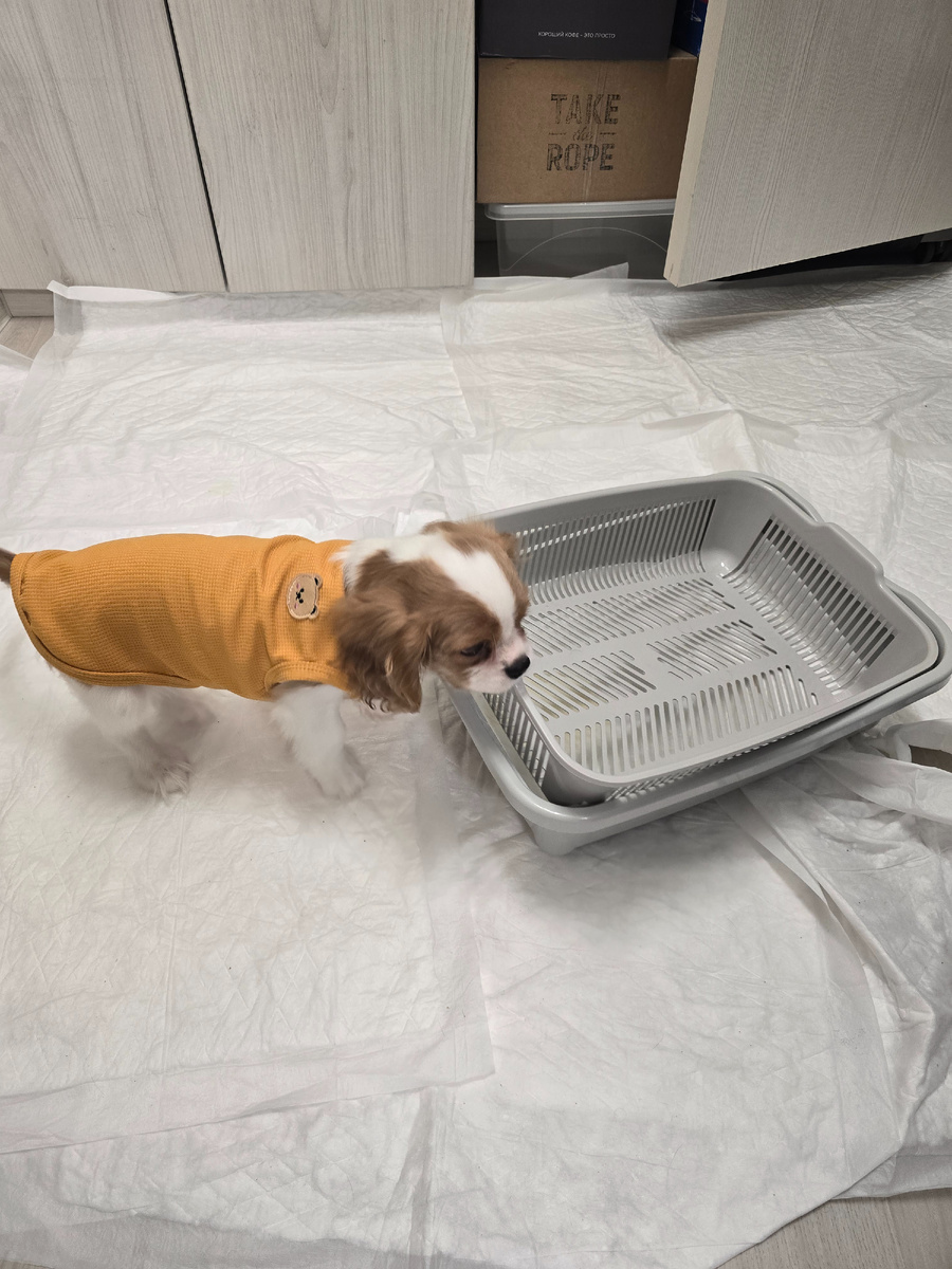 Перемещение лотка