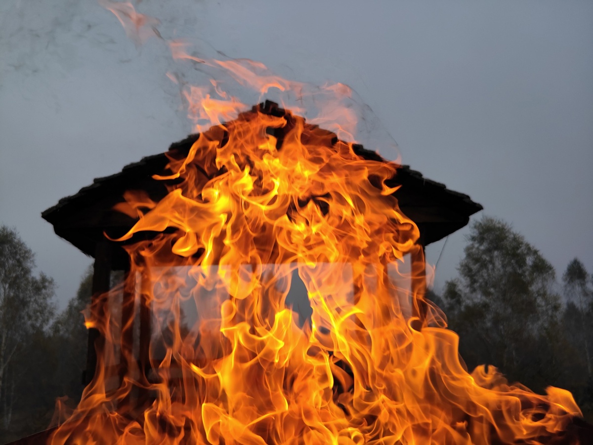 Фото носит иллюстративный характер