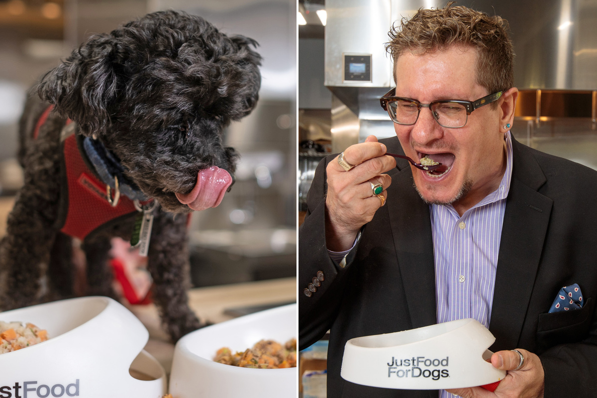 Источник: эльсити.рф