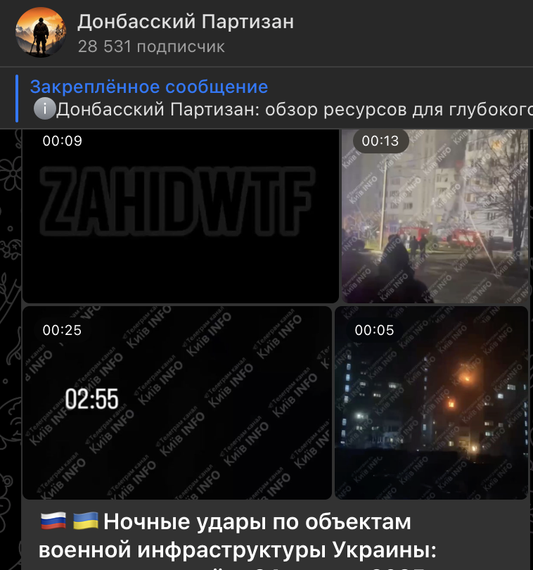    Скриншот: t.me/don_partizan/7059