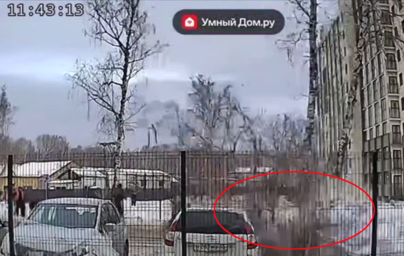    Дерево упало на машины. Фото: скрин видео с камеры домофона.