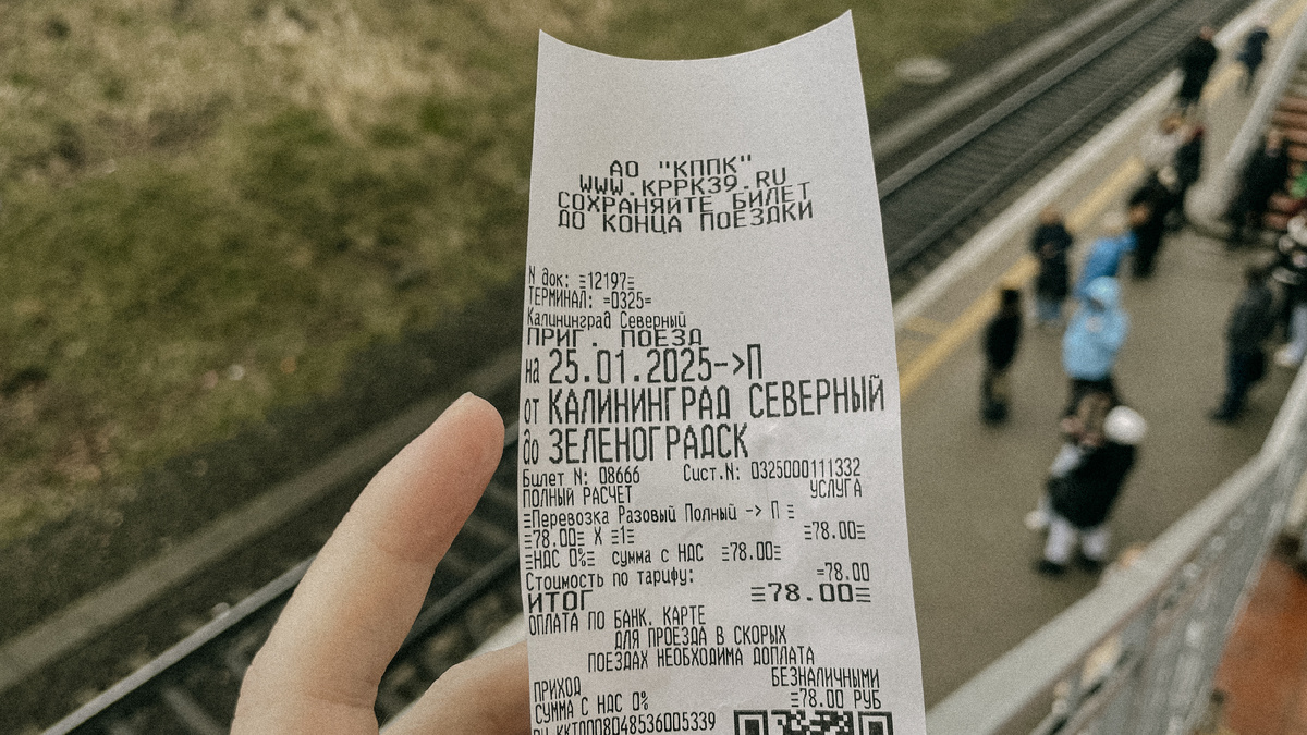 Мой билет, билет проверяют в поезде