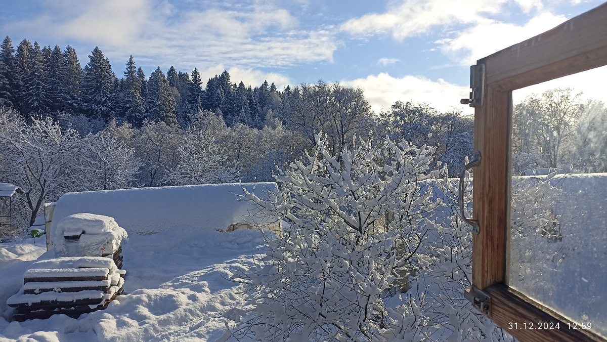 Это на Новый год, мой вид из окна.      