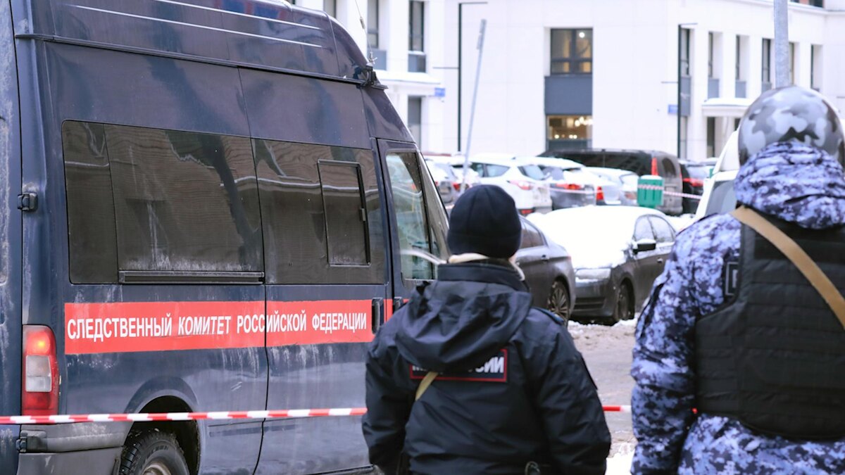    Фото: Roman Naumov/globallookpress.com