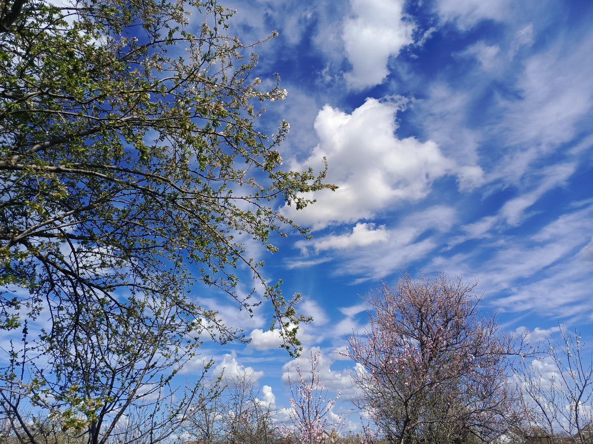 Все фото сделаны мной в моём саду или селе. У нас очень красивая местность.
