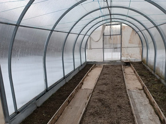 Фото: Андрей Травников