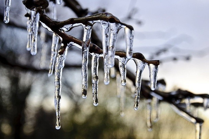 Фото: yandex.ru/images