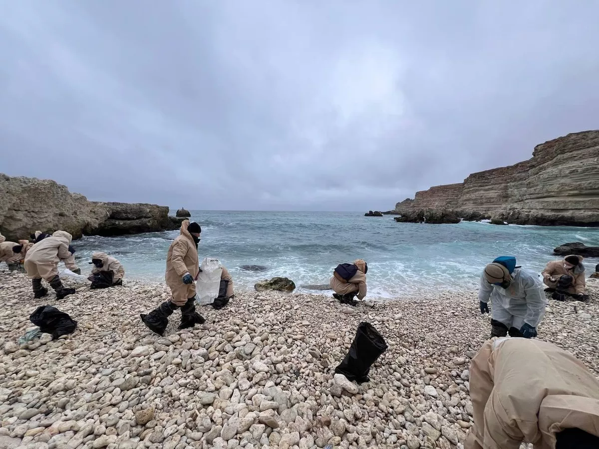 © Telegram Михаил Развожаев