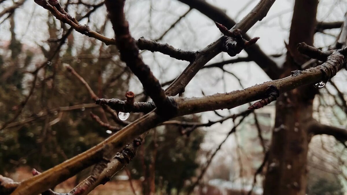     Источник: prmira.ru