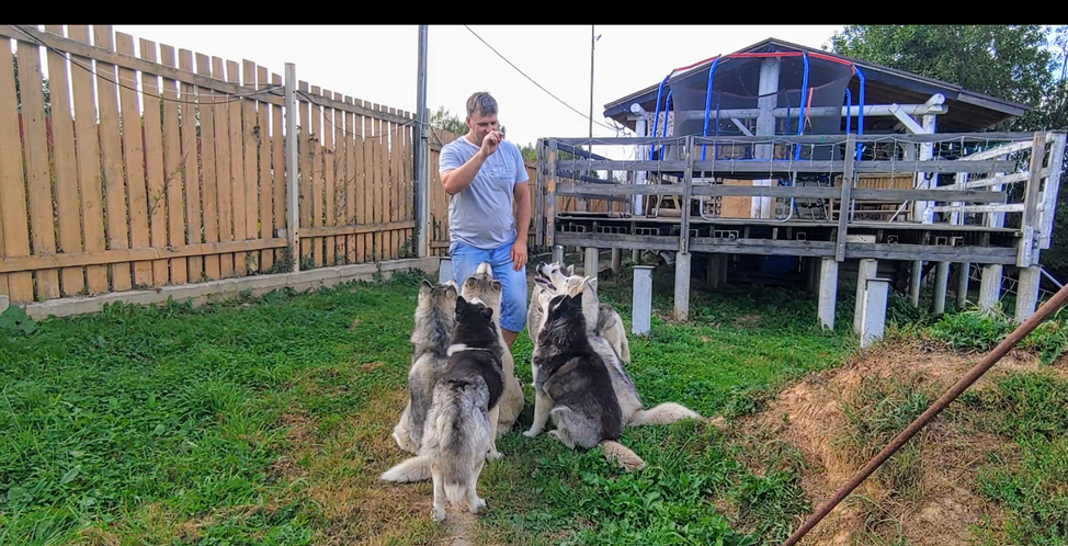 команда глазки