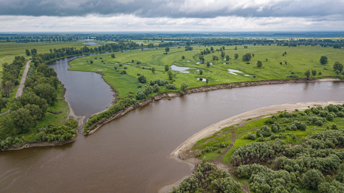 Фото из открытых источников Яндекс