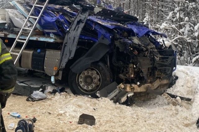    Фото: ГУ МВД по Республике Коми