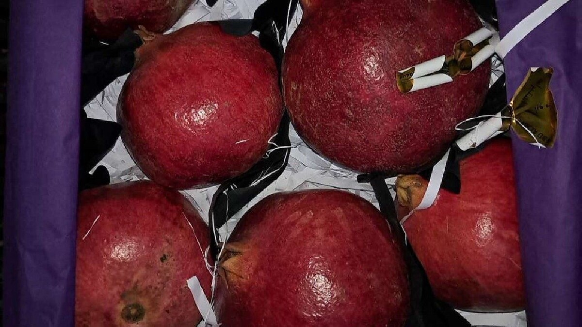    Фото: Южное межрегиональное управление Россельхознадзора