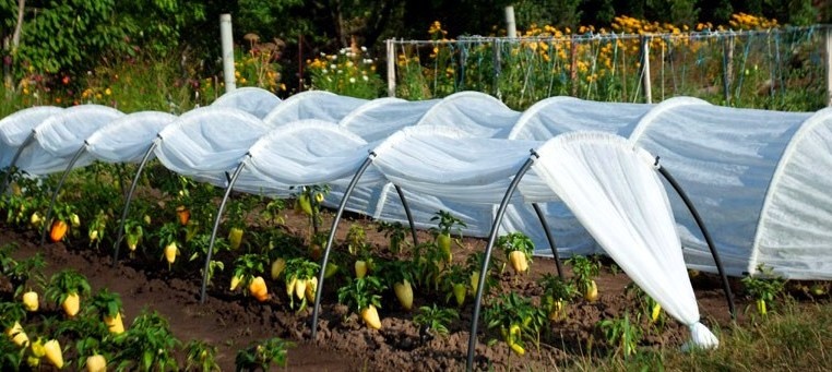 Пакрник своими руками: https://neospan.ru/about/stati/parnik-iz-plenki-svoimi-rukami/