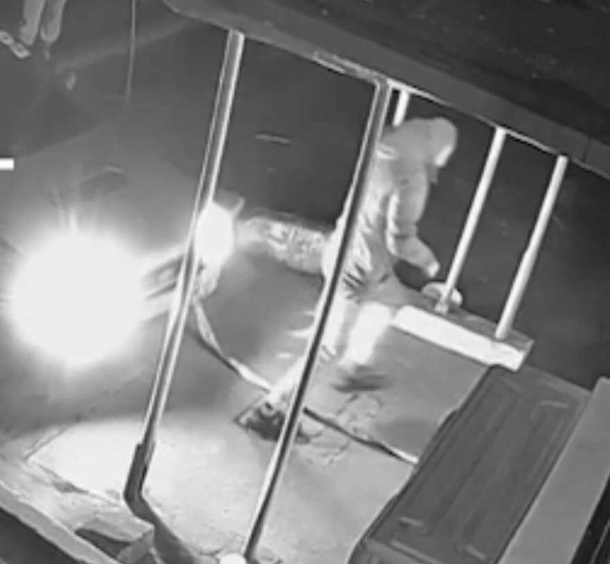    Источник фото: пресс-служба УМВД России по Приморскому краю